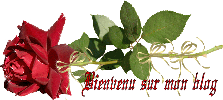 allo allo c'est nina 