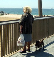 Les animaux de compagnie am�liorent le quotidien des personnes �g�es