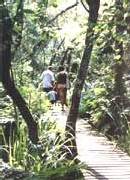 Les r�serves naturelles de France sont ouvertes aux visites tout l'�t�